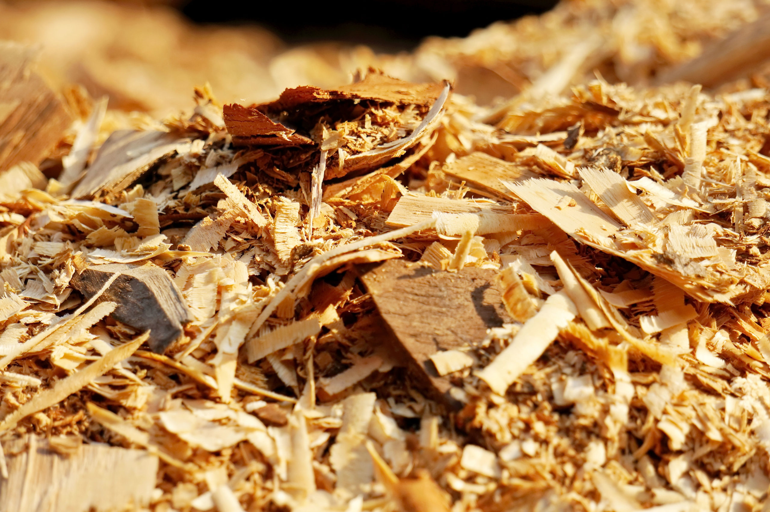 sawdust